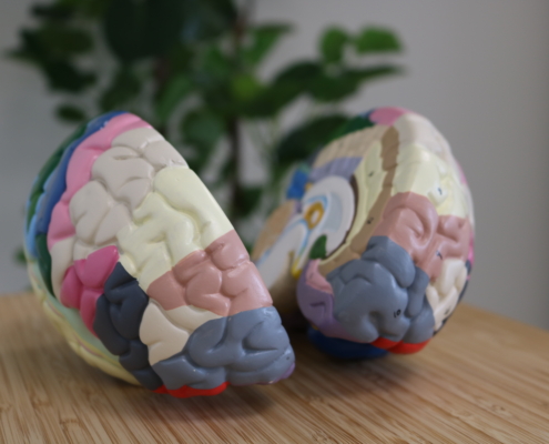 Neurofeedback ADHD
